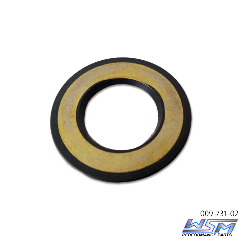 WSM Pump Oil Seal SD 900 / 1503 03-17 WSM 009-731-02 OEM#: 293200089