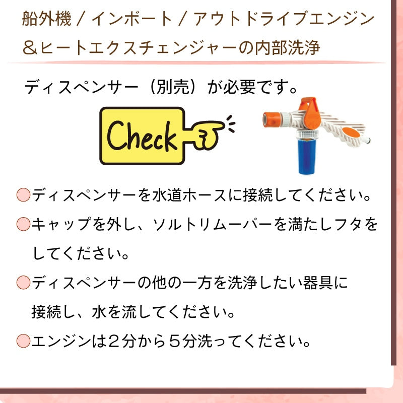 Desalt デソルト 原液5000ml ソルトリムーバー塩分除去・腐食防止剤 44274