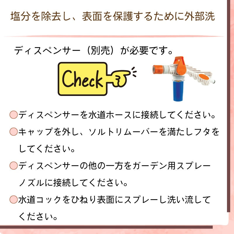 Desalt デソルト 原液5000ml ソルトリムーバー塩分除去・腐食防止剤 44274