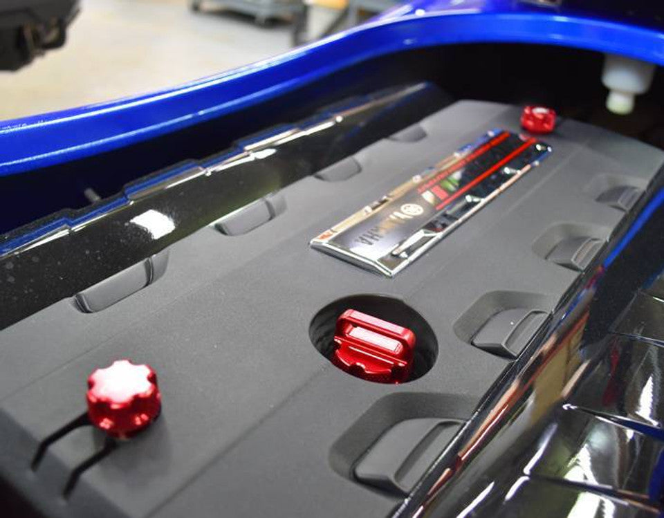 RIVA エンジンカバービレットノブセット YAMAHA ヤマハ リバ RIVAracing リバレーシング RY19040-KS