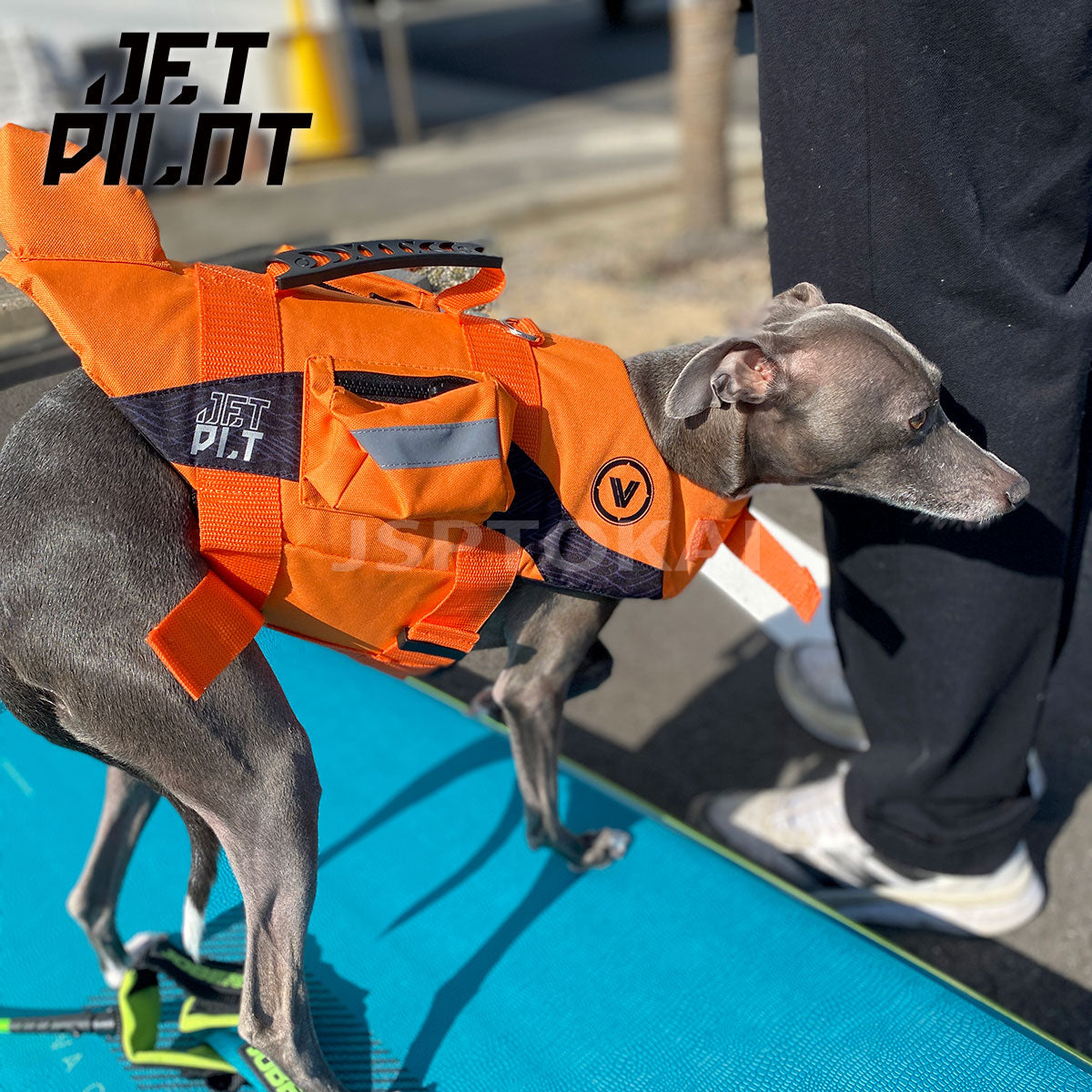 JETPILOT VENTURE DOG PFD 犬用 ペット ドッグ ライフジャケット オレンジ JA23014