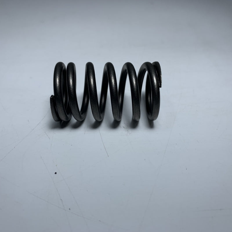 SGS SEADOO valve spring outside Sea-Doo 4-stroke genuine part number #420238180 aftermarket OEM parts parts SGS11002