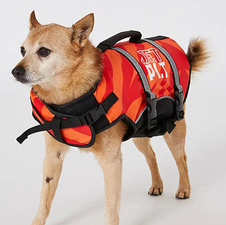JETPILOT  VENTURE DOG PFD  犬用 救命胴衣 ペット ドッグ ライフジャケット 　JA23012