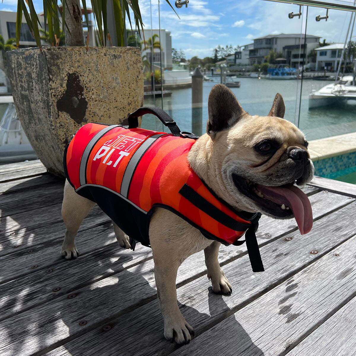 JETPILOT VENTURE DOG PFD Dog Life Jacket Pet Dog Life Jacket JA23012