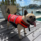 JETPILOT  VENTURE DOG PFD  犬用 救命胴衣 ペット ドッグ ライフジャケット 　JA23012