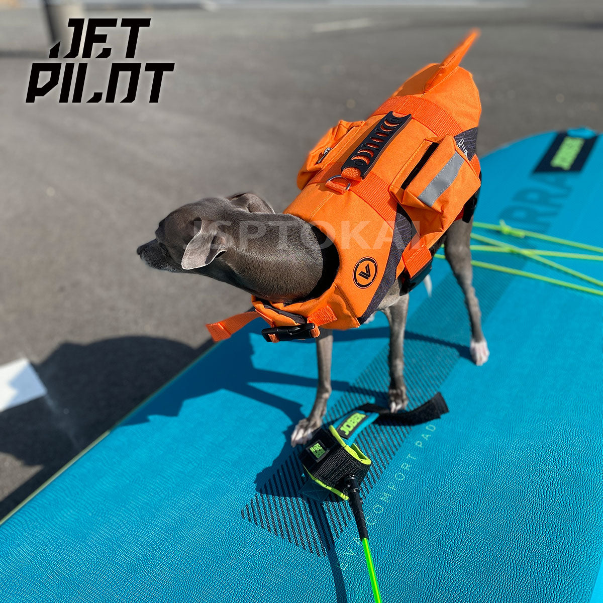 【2024新作】JETPILOT  VENTURE DOG PFD  犬用 ペット ドッグ ライフジャケット オレンジ　JA23014